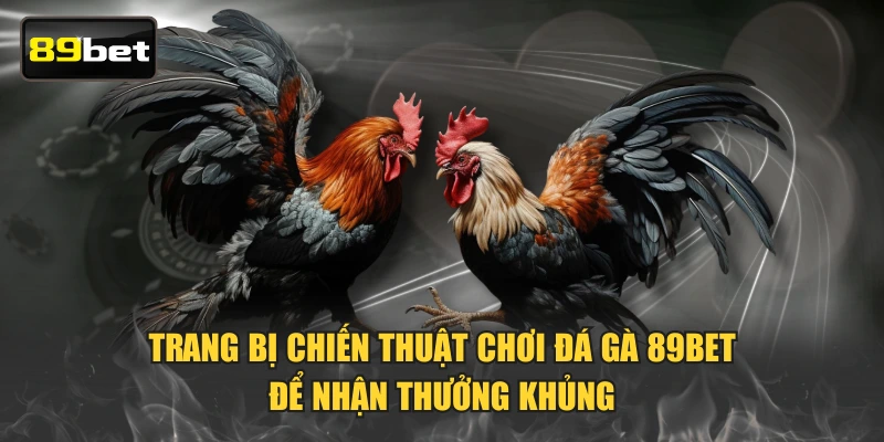 Trang bị chiến thuật chơi đá gà 89BET để nhận thưởng khủng
